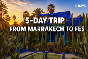 5 day trip from marrakech to fes